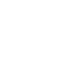 The Astor